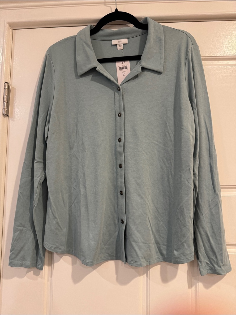 J. Jill Pale Lucite Blue Button-Front Long-Sleeve Top